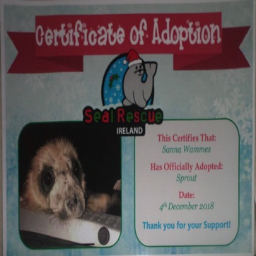 Sprout Cert.jpg